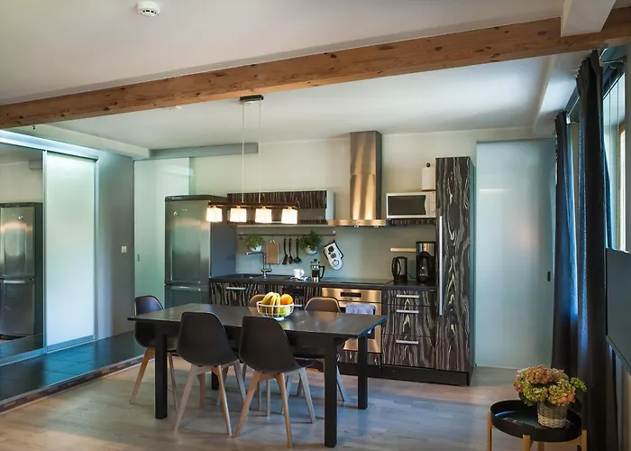 Hermann View Apartment